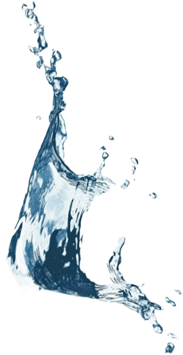 Prev